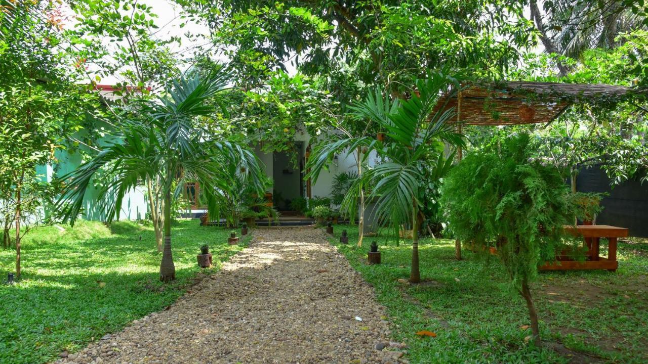 Menara Green Inn Dambulla Exterior photo